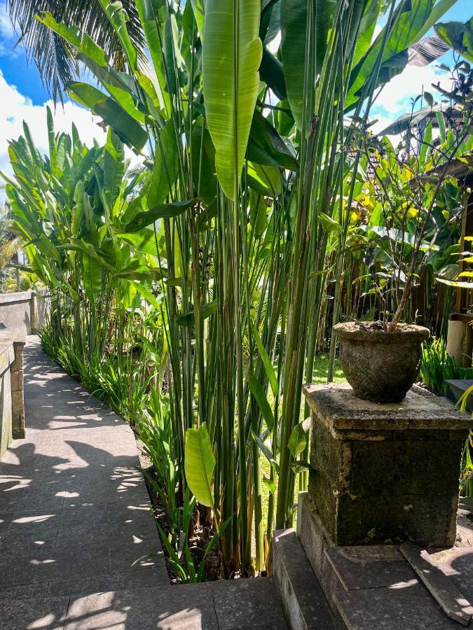 The Banana'S Kumbe Villa Tampaksiring エクステリア 写真