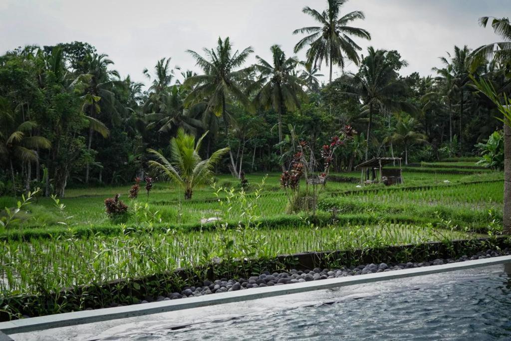 The Banana'S Kumbe Villa Tampaksiring エクステリア 写真